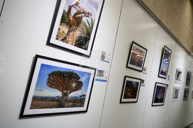 Бургас - благотворителна изложба