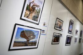Бургас - благотворителна изложба