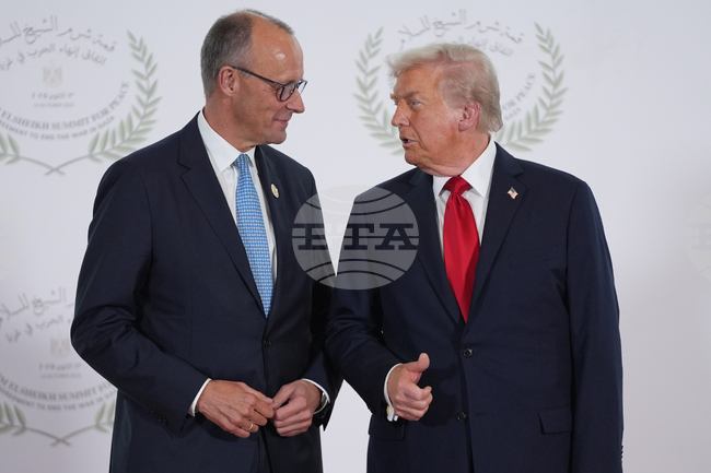 "Билд": Мерц ще разговаря днес със Зеленски и Тръмп