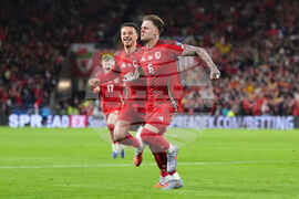 Wales Belgium WCup Soccer