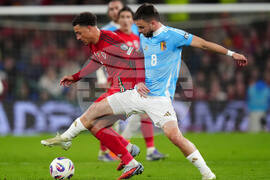 Wales Belgium WCup Soccer