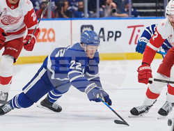 Red Wings Maple Leafs Hockey
