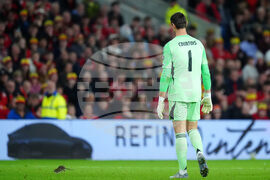 Wales Belgium WCup Soccer