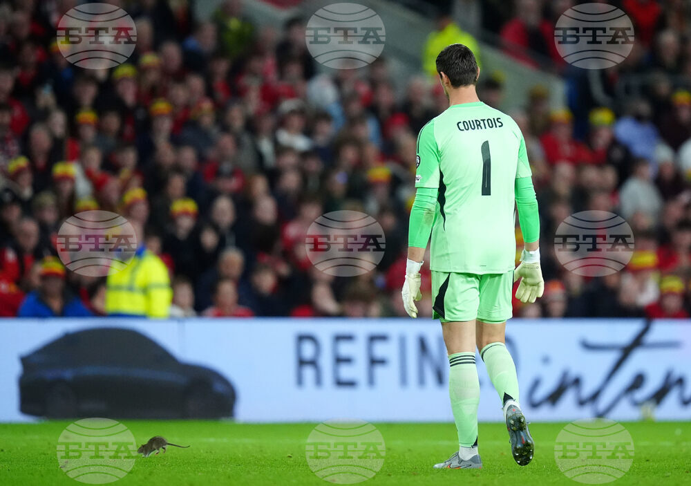 Wales Belgium WCup Soccer