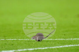 Wales Belgium WCup Soccer