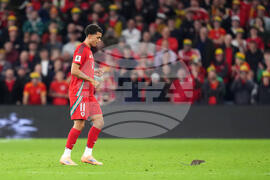 Wales Belgium WCup Soccer