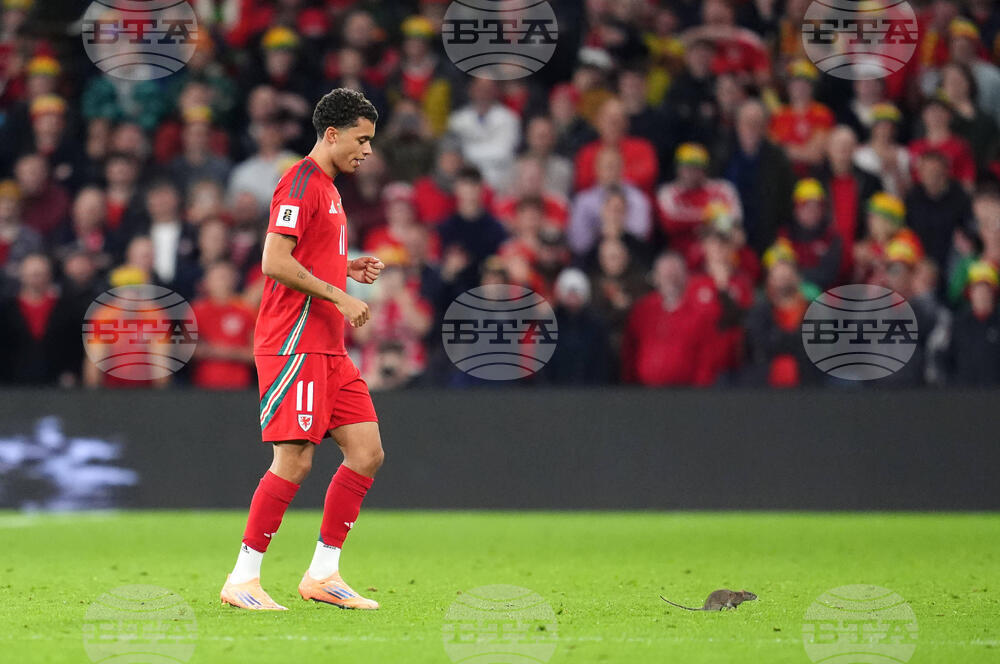 Wales Belgium WCup Soccer