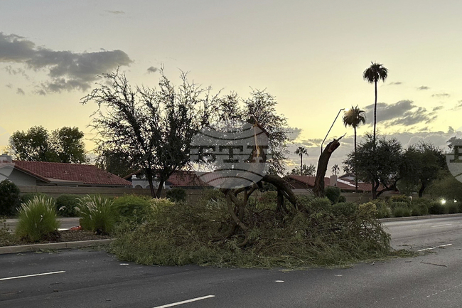 Extreme Weather Arizona