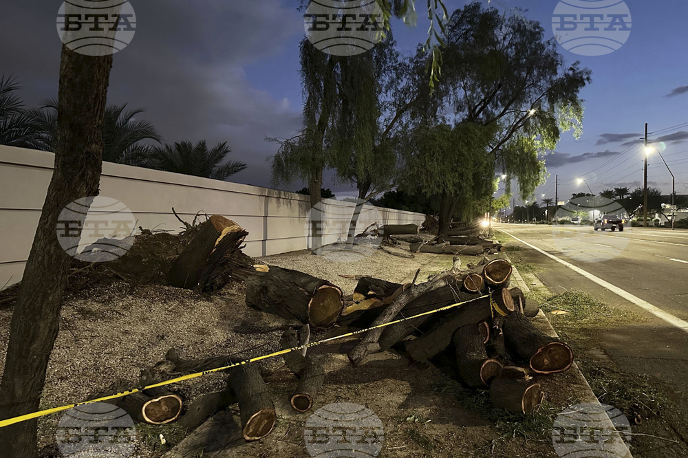 Extreme Weather Arizona