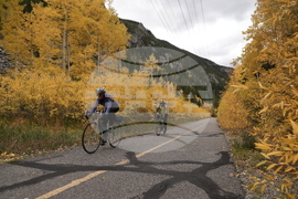 Fall Foliage Drought