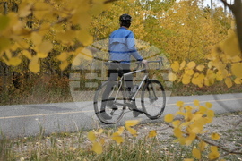 Fall Foliage Drought