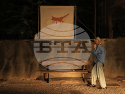 Cyprus Cats Overpopulation