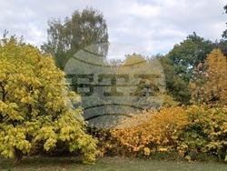 Традиционните "Есенни срещи с растенията" ще се състоят в Ботаническата градина на Българската академия на науките. Снимка: БАН