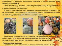 Традиционните "Есенни срещи с растенията" ще се състоят в Ботаническата градина на Българската академия на науките. Снимка: БАН