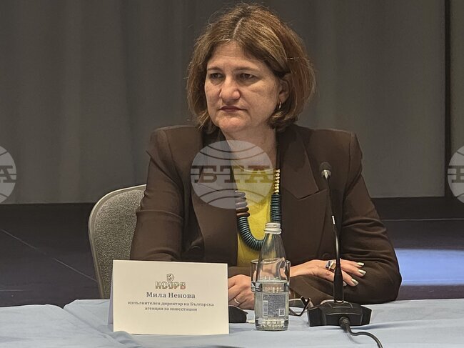 След два дни ще бъде представена платформа с информация за индустриални зони, съобщи изпълнителният директор на БАИ Мила Ненова