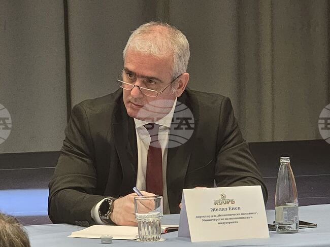 България ще има национална стратегия за преработващата и добивна промишленост, каза Желяз Енев от икономическото министерство