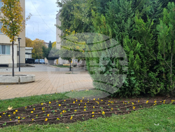 Търговище - есенно зацветяване