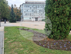 Търговище - есенно зацветяване