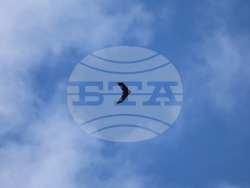 Безпилотни летателни апарати - столични  райони - заснемане