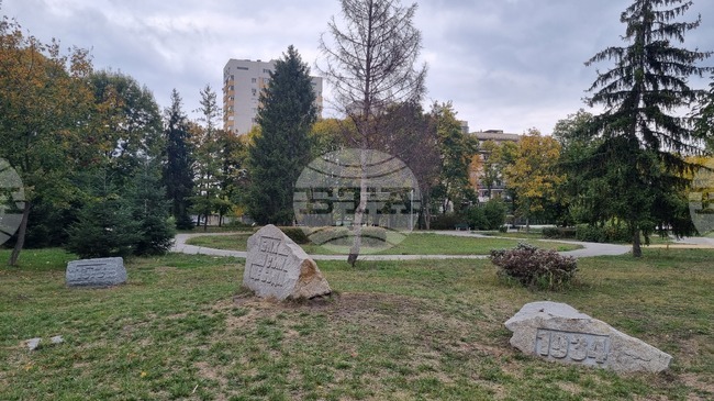 Пазарът на труда в област Търговище предлага осем свободни позиции за специалисти с висше образование