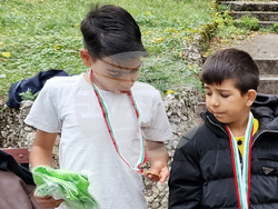 Нови пазар - празник на града - лекоатлетически крос