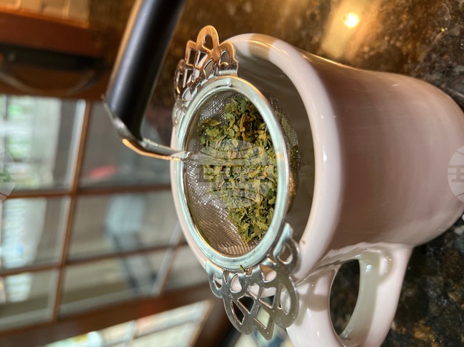 Gardening- Using Food Scraps