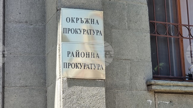 Прокуратурата в Ямбол се самосезира по клип в интернет, показващ как автомобил прегазва котка