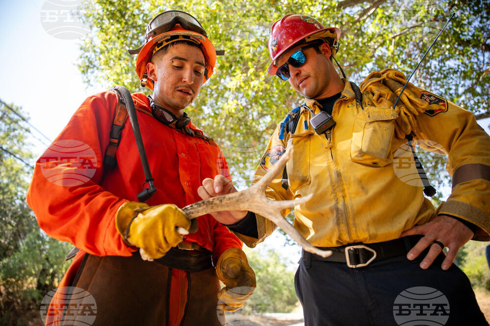 California Inmate Firefighters Photo Essay