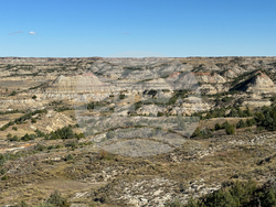 Roosevelt Library Isolation