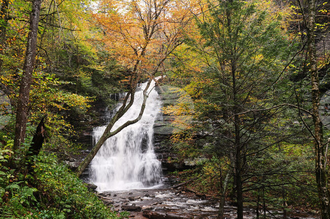 Fall Foliage-Pennsylvania