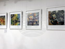 Казанлък - Фото Академика - изложба