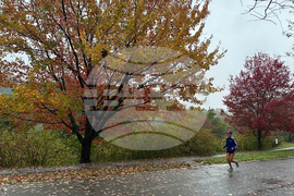 Northeast Fall Foliage