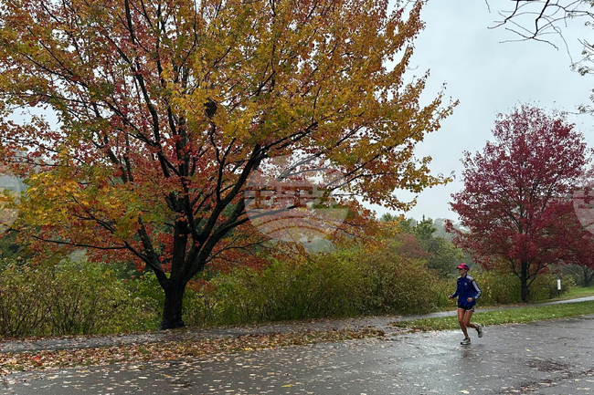 Northeast Fall Foliage