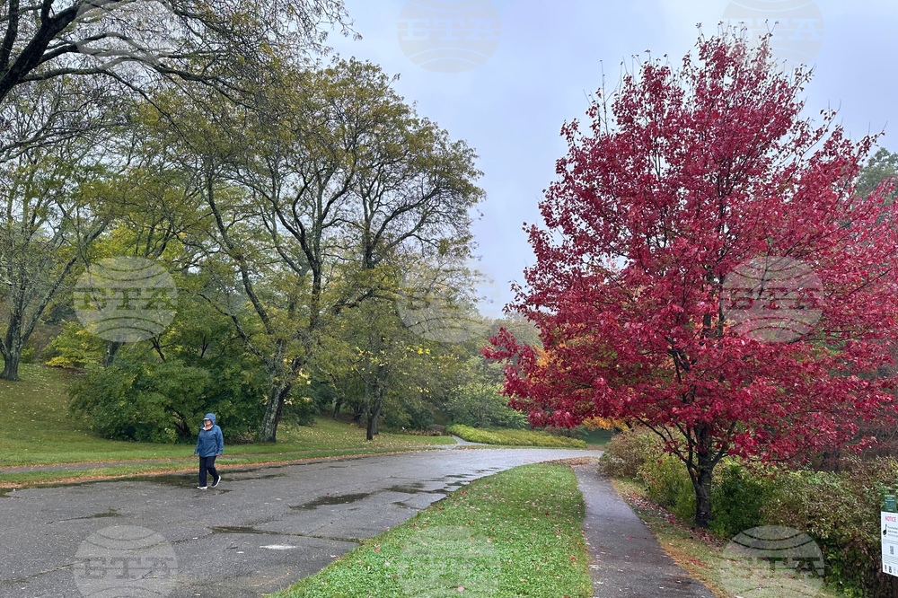 Northeast Fall Foliage