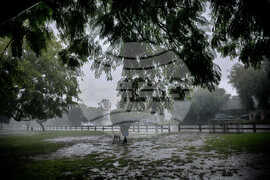 Extreme Weather California