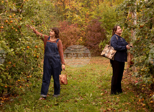Fall Foliage-Vermont