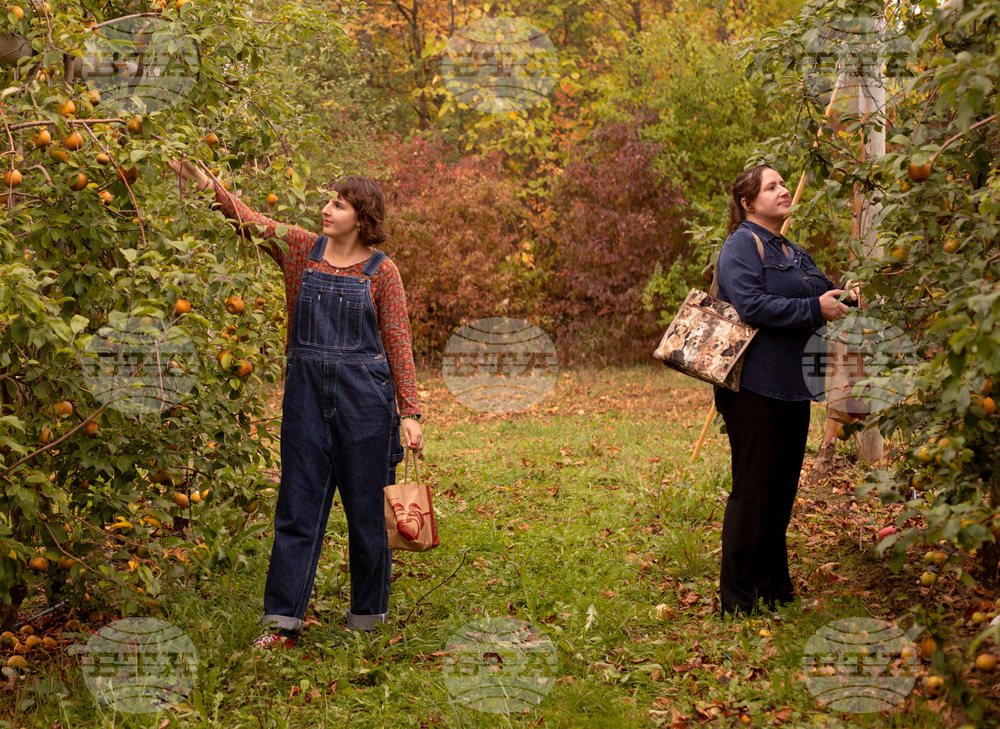 Fall Foliage-Vermont