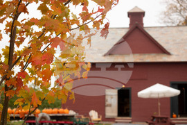 Fall Foliage-Vermont