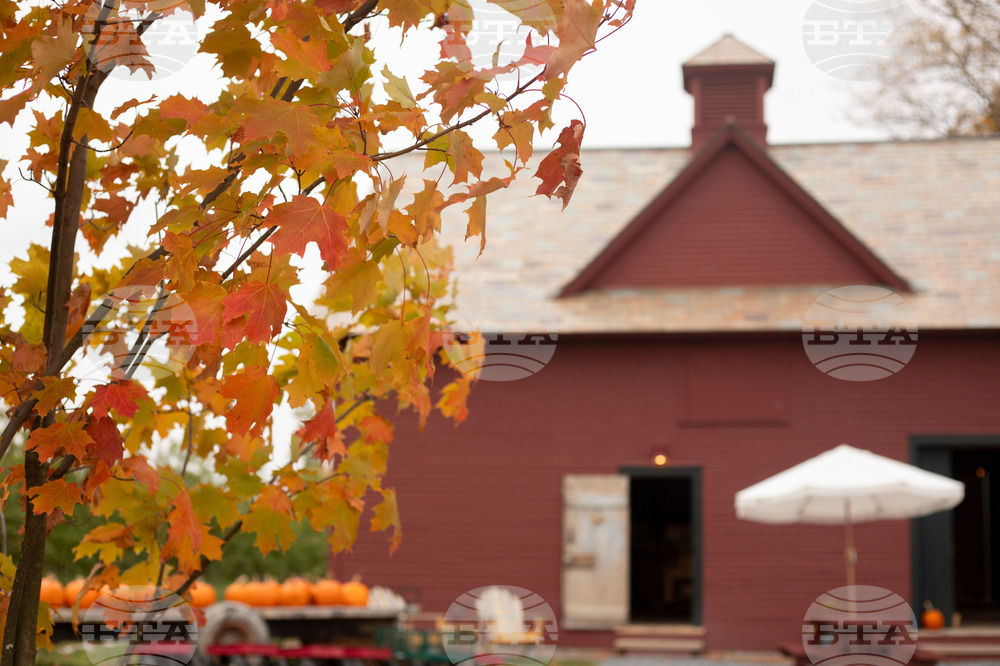 Fall Foliage-Vermont