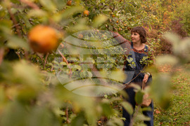 Fall Foliage-Vermont