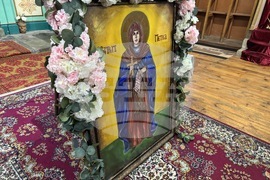 Село Енина - Света Петка - икона