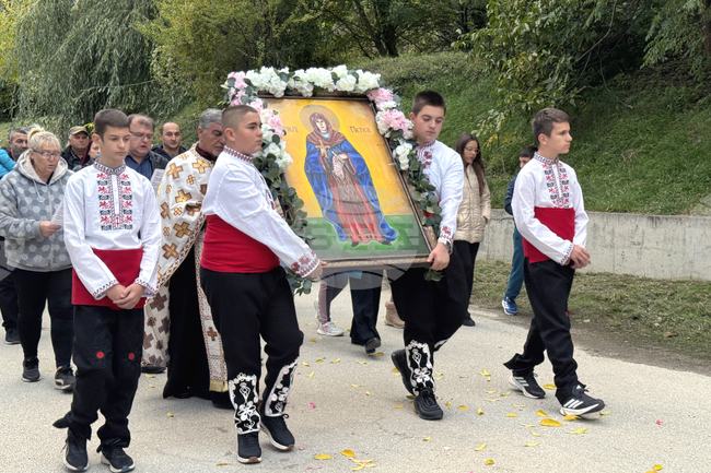 Село Енина - Света Петка - икона