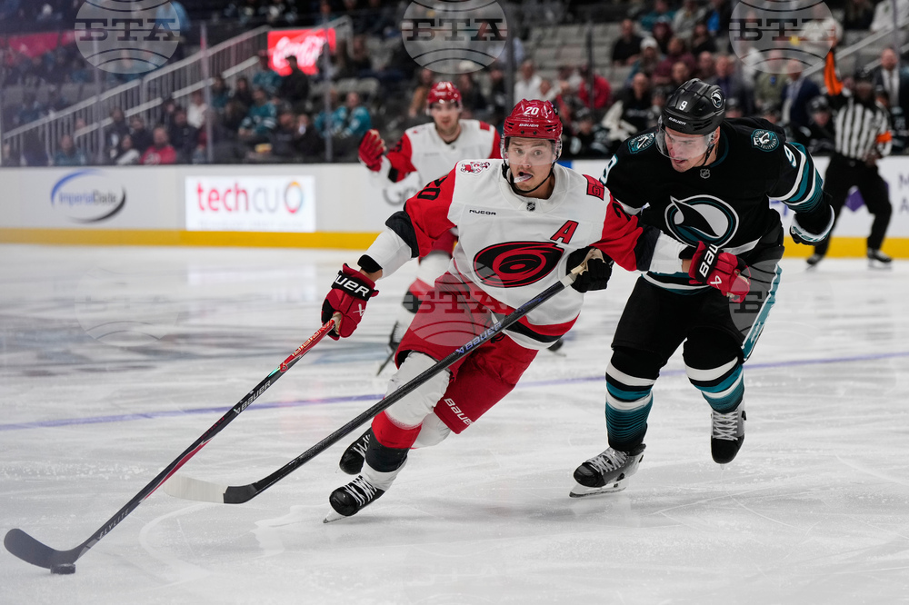 Hurricanes Sharks Hockey