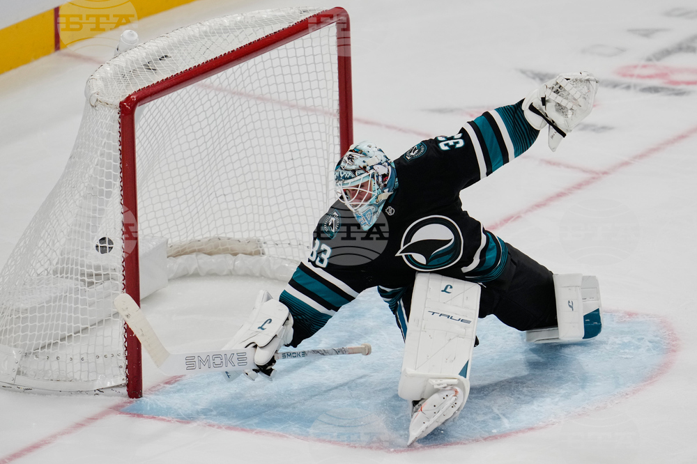 Hurricanes Sharks Hockey