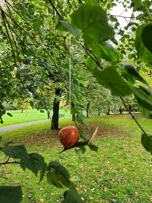 Хранилки за птици и катерици изработиха първокласници от Българското училище „Азбукарче“ в Глазгоу, Шотландия