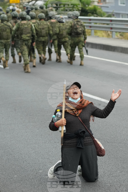 Top Vertical Photos Photo Gallery