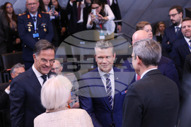 Belgium NATO Defense Ministers