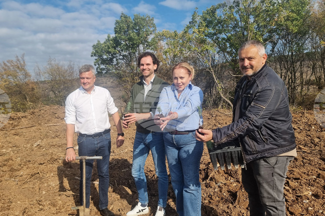Стара Загора - залесяване - кампания