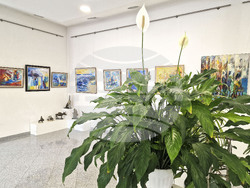 Хасково - Радостин Дамасков - живопис - изложба