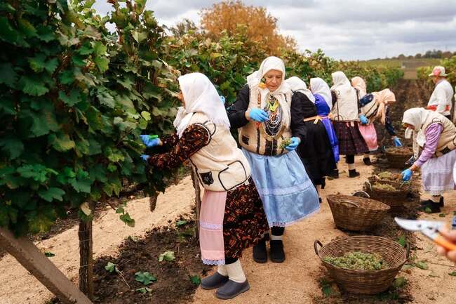 Празникът „Гроздобер“ се състоя в молдовския град Твърдица